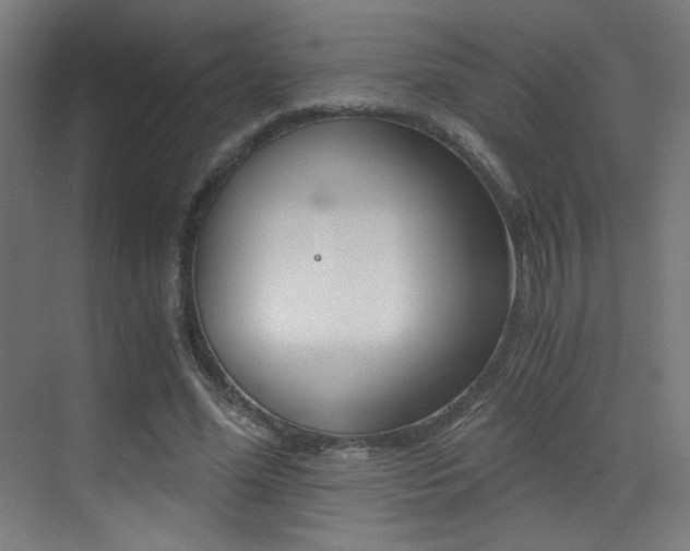 X0000073470588200607281101