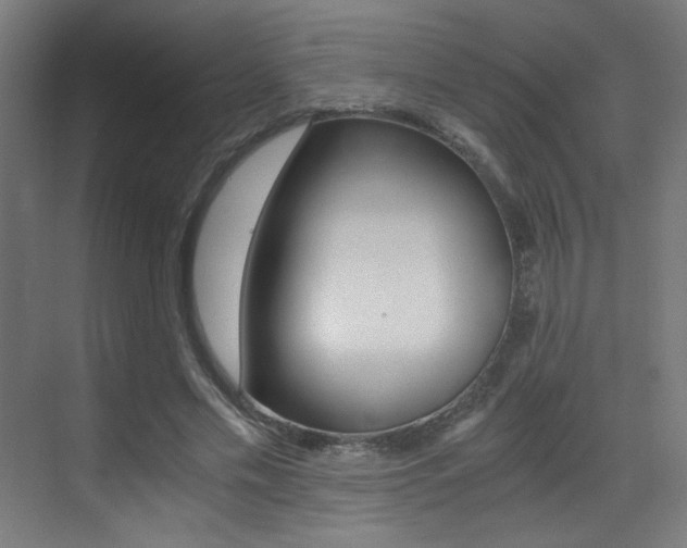 X0000073470589200607281101