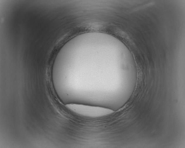 X0000073470591200607281101