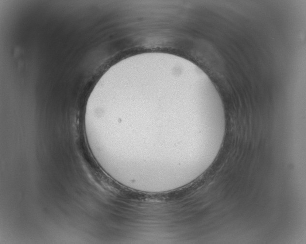 X0000073470592200607281101