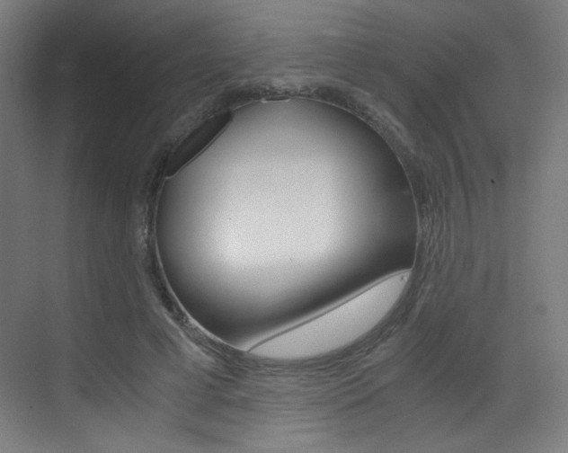 X0000073470593200607281101