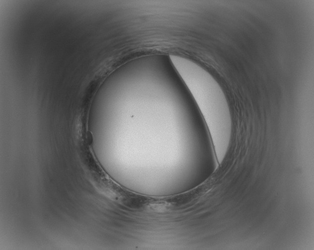 X0000073470595200607281101