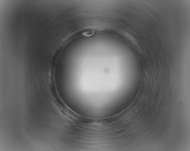 X0000073470596200607281101