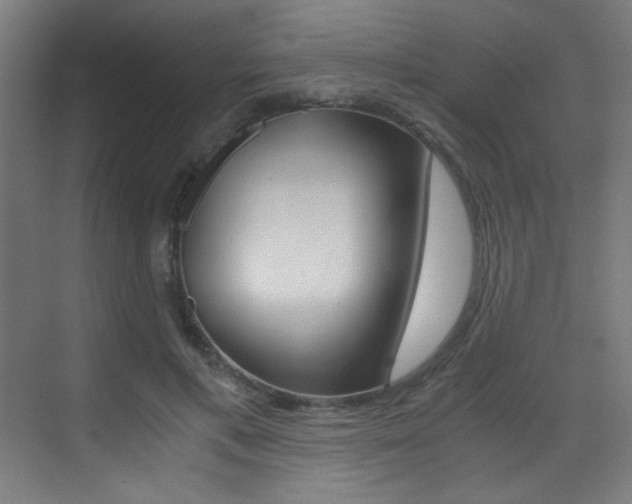 X0000073470597200607281101