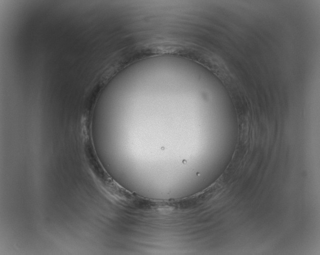 X0000073470598200607281101