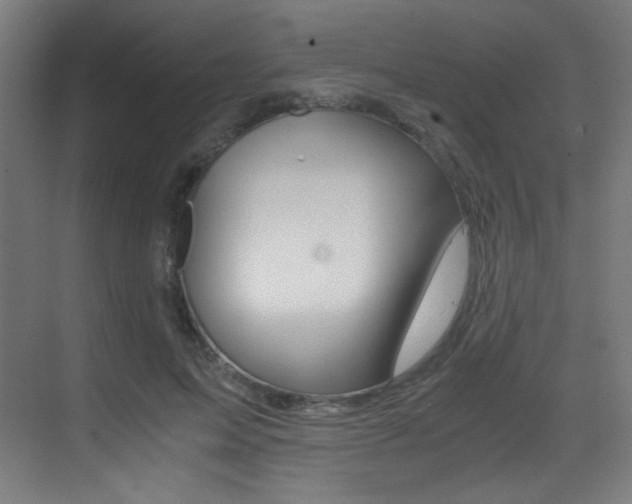 X0000073470599200607281101