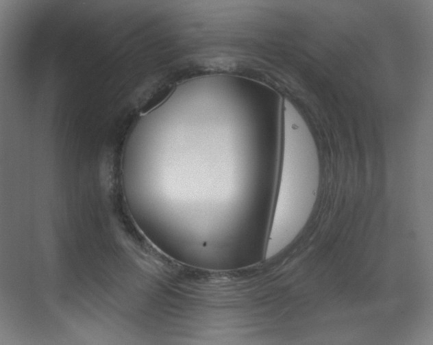 X0000073470600200607281101