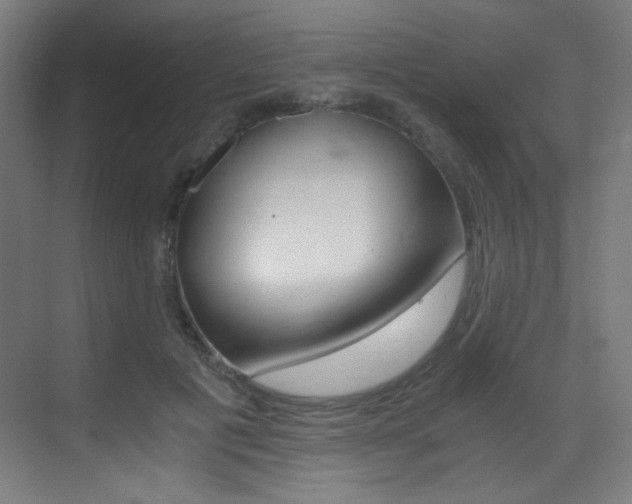 X0000073470601200607281101