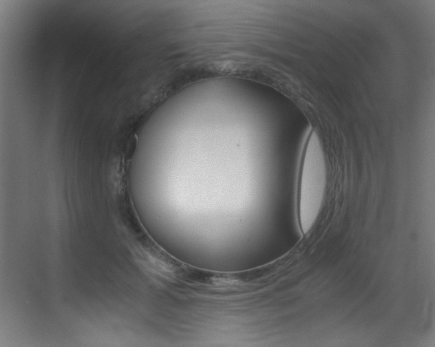 X0000073470605200607281101