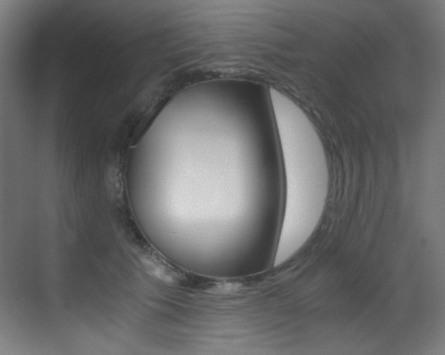 X0000073470609200607281100