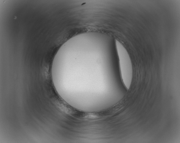 X0000073470610200607281100