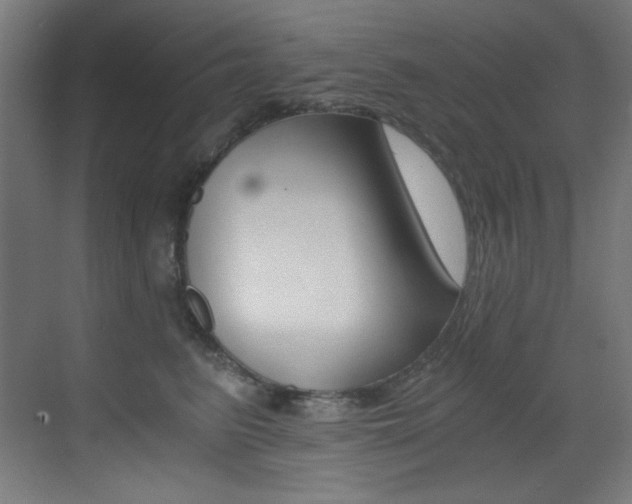 X0000073470615200607281100