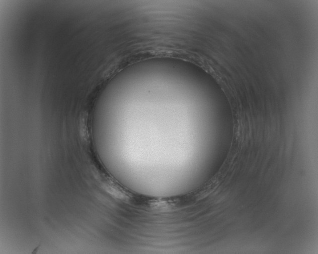 X0000073470616200607281100