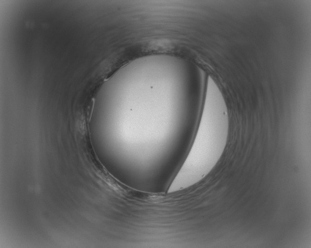 X0000073470617200607281100