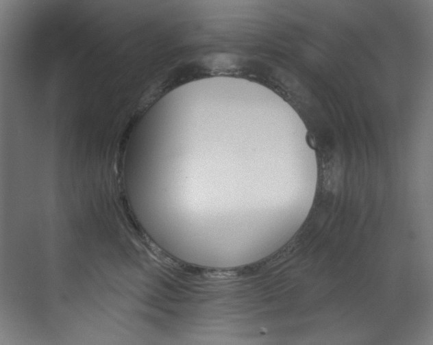 X0000073470618200607281100