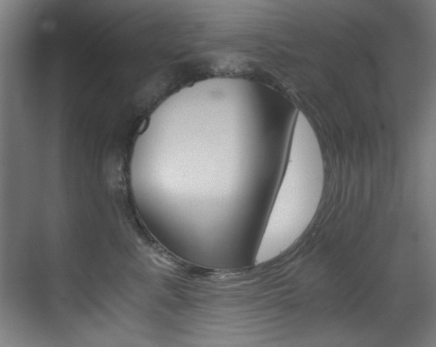 X0000073470619200607281100