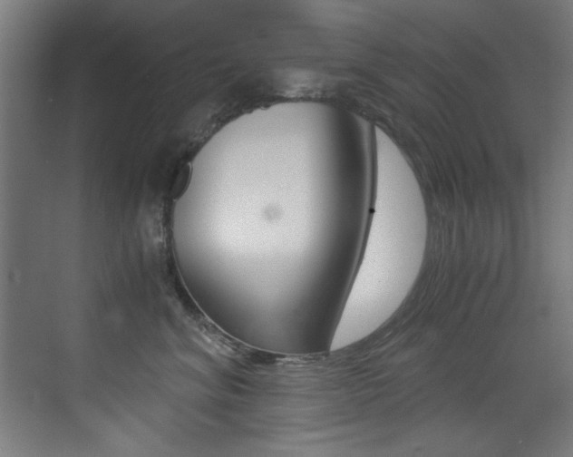X0000073470620200607281100