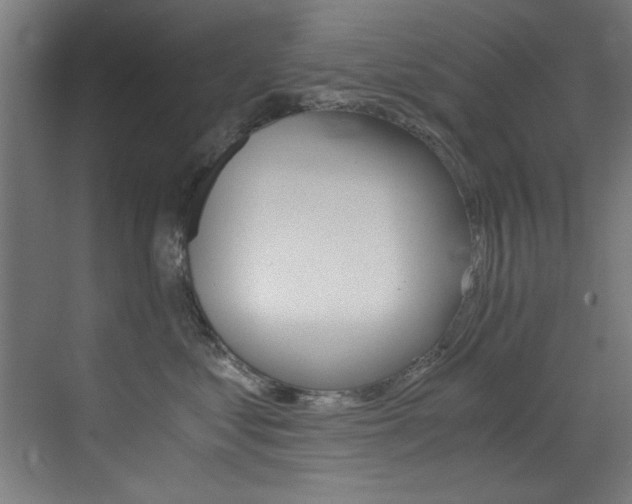 X0000073470621200607281100