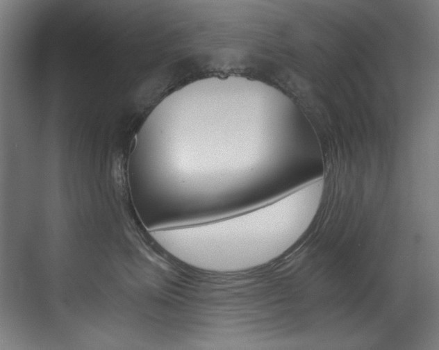 X0000073470623200607281100