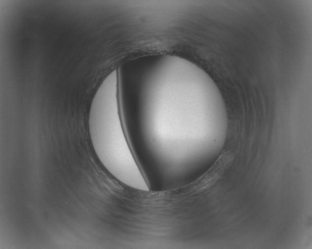 X0000073470624200607281100