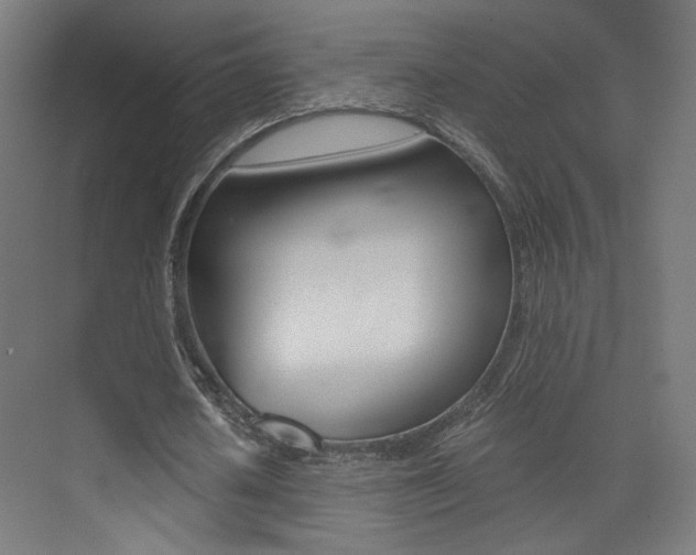 X0000073470626200607281059