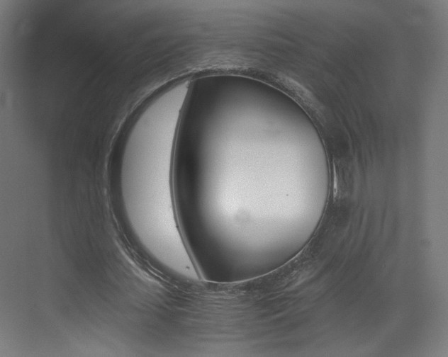 X0000073470627200607281059