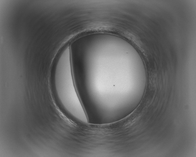 X0000073470629200607281059