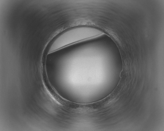 X0000073470630200607281059