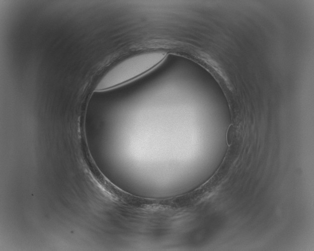 X0000073470633200607281100