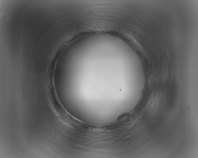 X0000073470635200607281100