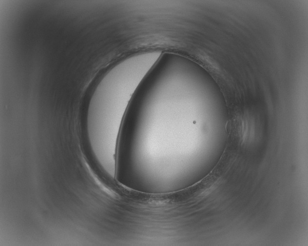 X0000073470638200607281100