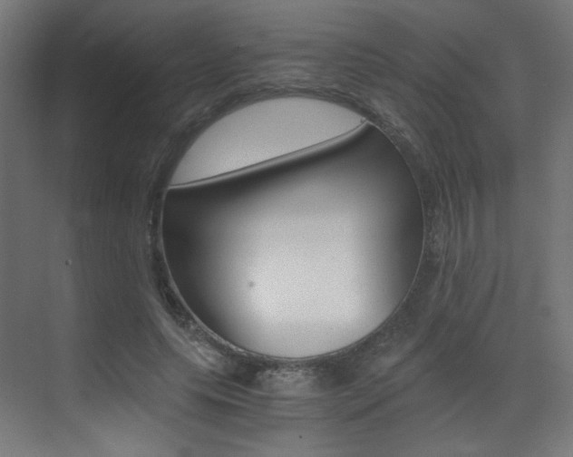 X0000073470639200607281100