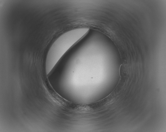 X0000073470642200607281100