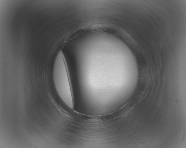 X0000073470644200607281100