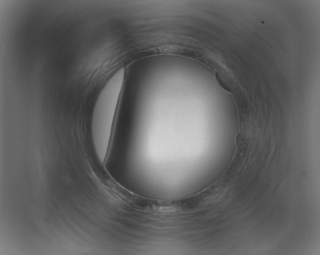 X0000073470645200607281100