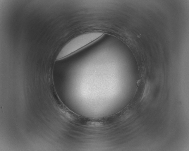 X0000073470649200607281100