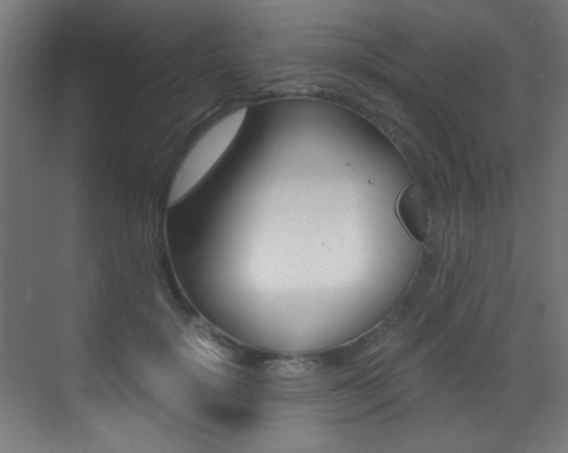 X0000073470652200607281100