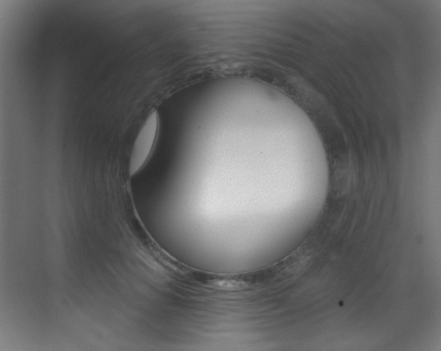X0000073470654200607281100