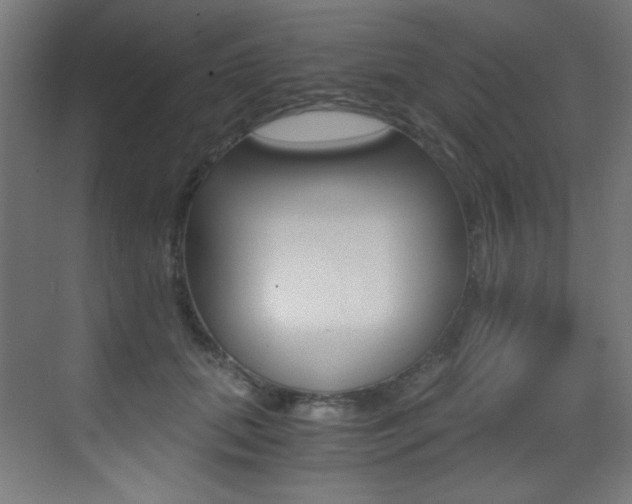 X0000073470655200607281100