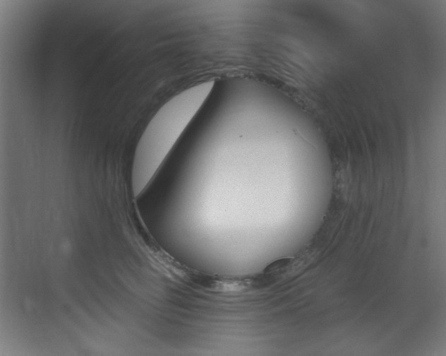 X0000073470662200607281100