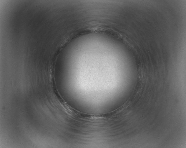 X0000073470664200607281100