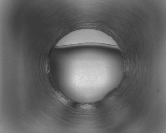 X0000073470669200607281100