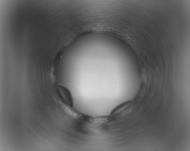 X0000073470670200607281100