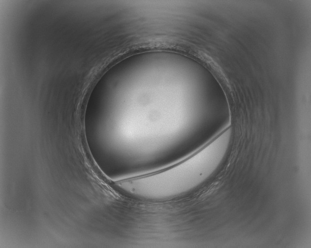 X0000073470673200607281059