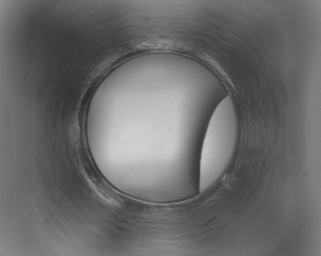 X0000073470674200607281059