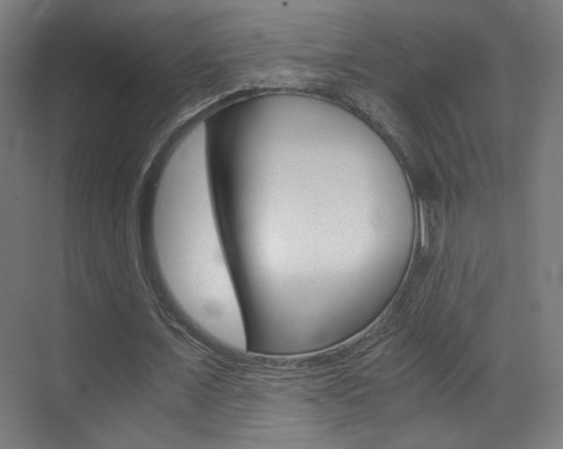 X0000073470675200607281059
