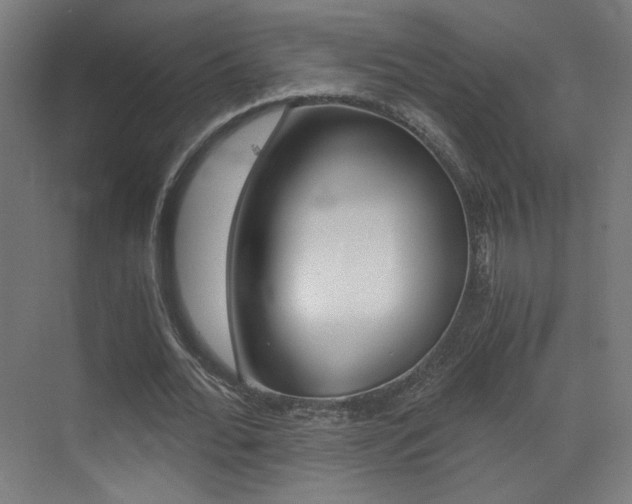 X0000073470676200607281059