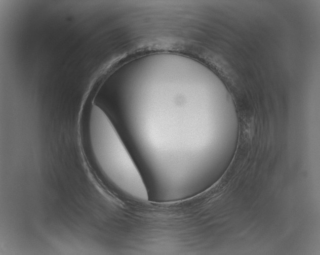 X0000073470678200607281059