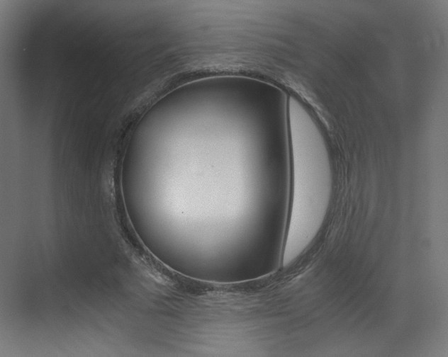 X0000073470681200607281059