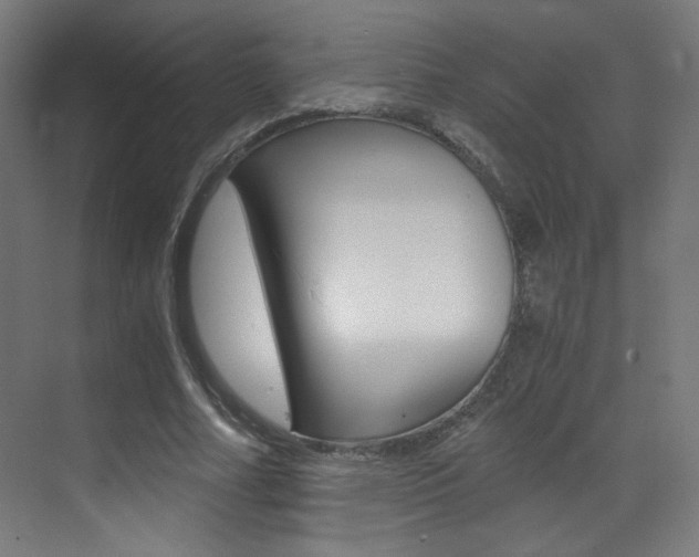 X0000073470682200607281059